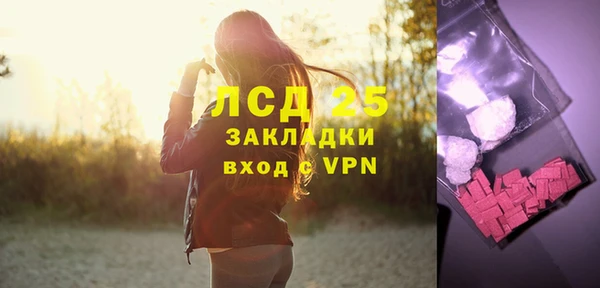ГАЛЛЮЦИНОГЕННЫЕ ГРИБЫ Абаза