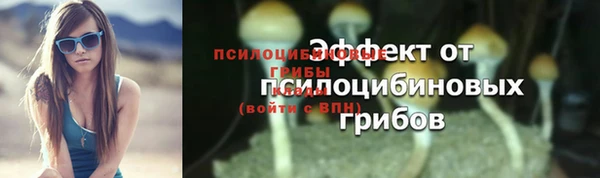 МДПВ Абдулино