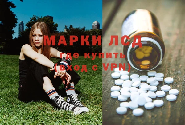 ГАЛЛЮЦИНОГЕННЫЕ ГРИБЫ Абаза