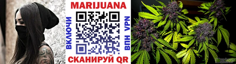 Бошки Шишки планчик Сухиничи